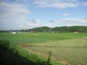 画像(180x135)・拡大画像(640x480)