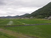 画像(180x135)・拡大画像(640x480)