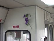 画像(180x135)・拡大画像(640x480)