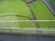 画像(180x135)・拡大画像(640x480)