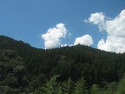 画像(180x135)・拡大画像(640x480)