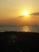 画像(135x180)・拡大画像(480x640)