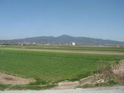 画像(180x135)・拡大画像(640x480)