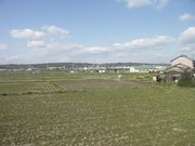 画像(180x135)・拡大画像(640x480)