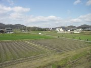 画像(180x135)・拡大画像(640x480)