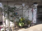 画像(180x135)・拡大画像(640x480)