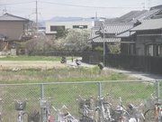 画像(180x135)・拡大画像(640x480)