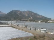 画像(180x135)・拡大画像(640x480)