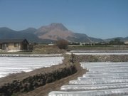 画像(180x135)・拡大画像(640x480)