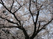 画像(180x135)・拡大画像(640x480)