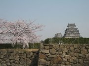 画像(180x135)・拡大画像(640x480)