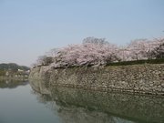 画像(180x135)・拡大画像(640x480)