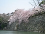 画像(180x135)・拡大画像(640x480)