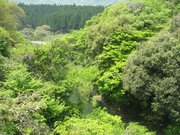 画像(180x135)・拡大画像(640x480)