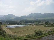 画像(180x135)・拡大画像(640x480)