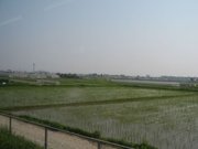 画像(180x135)・拡大画像(640x480)