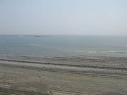 画像(180x135)・拡大画像(640x480)