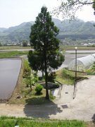 画像(135x180)・拡大画像(480x640)