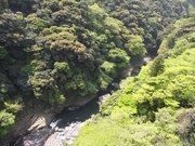 画像(180x135)・拡大画像(640x480)