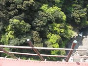 画像(180x135)・拡大画像(640x480)