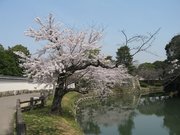 画像(180x135)・拡大画像(640x480)