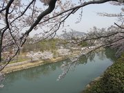 画像(180x135)・拡大画像(640x480)