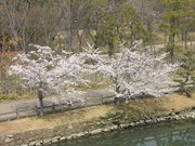 画像(180x135)・拡大画像(640x480)