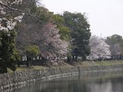 画像(180x135)・拡大画像(640x480)