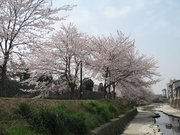 画像(180x135)・拡大画像(640x480)