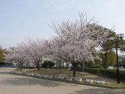 画像(180x135)・拡大画像(640x480)