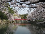 画像(180x135)・拡大画像(640x480)