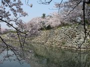 画像(180x135)・拡大画像(640x480)