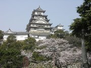 画像(180x135)・拡大画像(640x480)