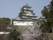 画像(180x135)・拡大画像(640x480)