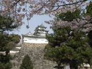 画像(180x135)・拡大画像(640x480)