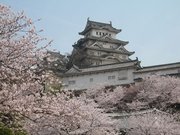 画像(180x135)・拡大画像(640x480)