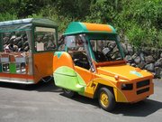 画像(180x135)・拡大画像(640x480)