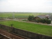 画像(180x135)・拡大画像(640x480)