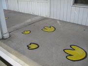 画像(180x135)・拡大画像(640x480)