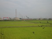 画像(180x135)・拡大画像(640x480)