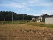 画像(180x135)・拡大画像(640x480)