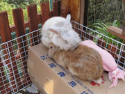 画像(180x135)・拡大画像(640x480)