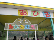 画像(180x135)・拡大画像(640x480)