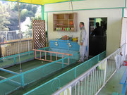 画像(180x135)・拡大画像(640x480)