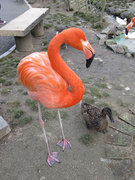 画像(135x180)・拡大画像(480x640)