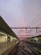 画像(135x180)・拡大画像(480x640)