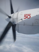 画像(135x180)・拡大画像(480x640)