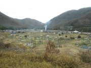 画像(180x135)・拡大画像(640x480)