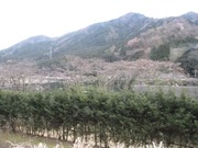 画像(180x135)・拡大画像(640x480)