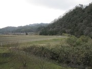 画像(180x135)・拡大画像(640x480)